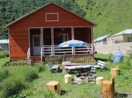 Warm House, hotel ieftin din Kazbegi