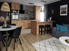 Apartament Opawska