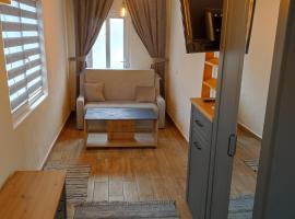 The little White House, hôtel acceptant les animaux domestiques à Sibiu