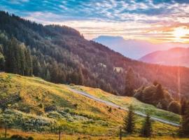 Almhütte Andrea, hotel blizu znamenitosti Verbindungslift, Vildšenau