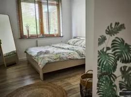 Apartament 12