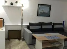 Apartment with garden access