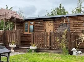 Cute and cosy Shepard hut with wood fuel hot tub