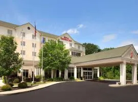 Hilton Garden Inn Huntsville South/Redstone Arsenal