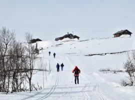 Havsdalsgrenda Geilo Apartments