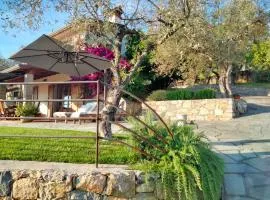 A CASA DI OLIVO