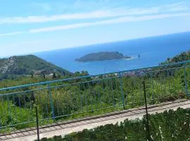 Apartmani Vujovic Markovici