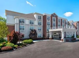 Hampton Inn Buffalo-Williamsville