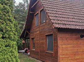 Dom drewniany z kominkiem i klimatyzacja lokalizacja trzy jeziora i lasy swornegacie, hotel ob plaži v mestu Małe Swornigacie