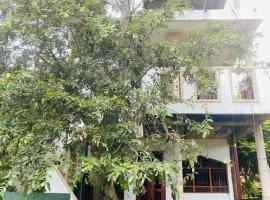 New mom house