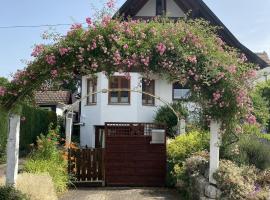 Ferienwohnung Dalea: Bad Waldsee şehrinde bir ucuz otel