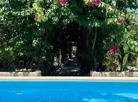 B&B Don Alessandro