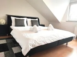 Kein aber feine 3 Zimmer Wohnung