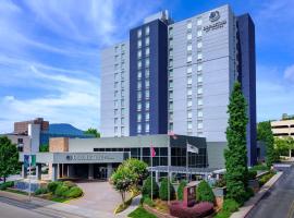 DoubleTree by Hilton Hotel Chattanooga Downtown, семейный отель в Чаттануге