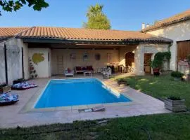 Entre vigne et Camargue