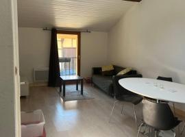 Apartment in Alsace 300m from Switzland, hotel en Pfetterhouse