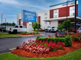 SpringHill Suites by Marriott Baton Rouge Gonzales
