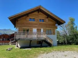Chalet 8 pers. au pied des pistes avec parking à 50m des remontées mécaniques - FR-1-733-2