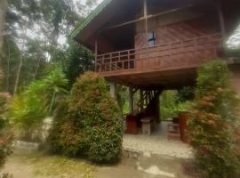 Barus Hill View, lodge in Bukit Lawang