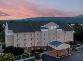 Fairfield Inn & Suites Roanoke Hollins/I-81