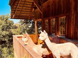 Alpaka-Ferienhaus Oenzlen, alquiler vacacional en Wynigen