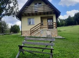 Kućica na Tari