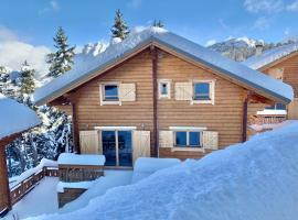 Oreeduloup Chalet Japp'loup 10/12 Pers.，代沃呂伊的飯店