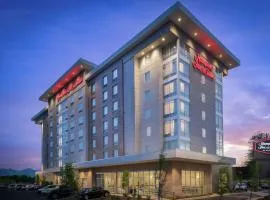 Hampton Inn & Suites Asheville Biltmore Area