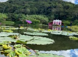 Solar dos Pássaros