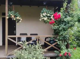 Boutigue city house with terrace and garden free parking