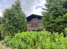 Chalet Hildegard – domek górski w mieście Schwarzsee