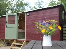 Cosy Shepherd's Hut with Hot Tub, hotel with parking in Church Stretton