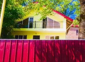 cottage in tsemi (Borjomi)