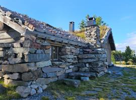 Hytte i Hallingdal/Flå, cottage in Flå