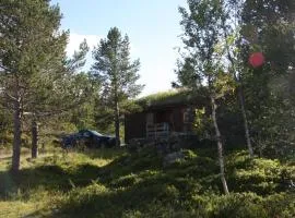 Lemonsjø Fjellstue og Hyttegrend