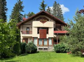 Transylvanian Villa, hotel u gradu Predeal