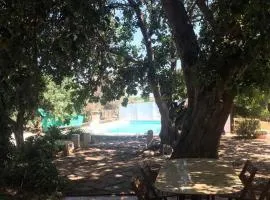 La Casa del Carrubo con Piscina condivisa in campagna vicino al mare - Canestanco 18