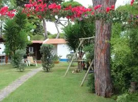 Casinha do pinhal