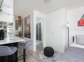 Cozy and Small Studio Zone 2 near Maida vale 6