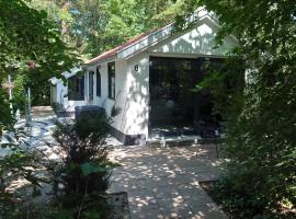 Relaxed Luxery forest view bungalow with Jacuzzi, hytte i Hattemerbroek