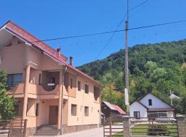 CASA OFRIM, Bârsana, Maramureș, готель біля визначного місця Бирсанський монастир, у місті Bîrsana