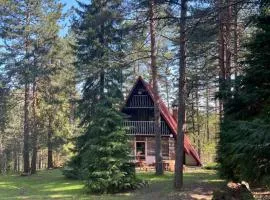 Tarushka house