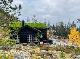 Storekleiv Hyttefelt Tuddal, villa à Tuddal