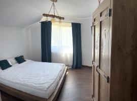 Pensiunea Lili’s House, hotel pentru familii din Buchin