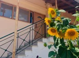 BOKAS EXOTIC HOUSE