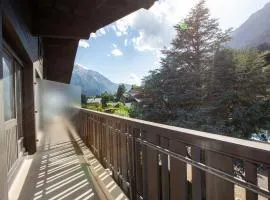 Superbe T3 en face du Brevent, Chamonix