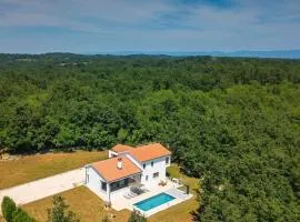 Vila Prisunca jacuzzi & swimming pool
