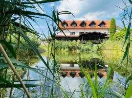 Kosa Śpiew Joga i Spa