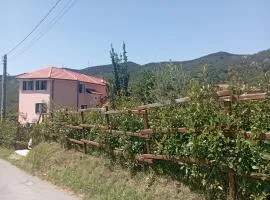 LA TANA DELLA VOLPETTA - Bed & Breakfast