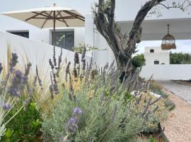 Casa di Amerissa Premium Accommodation, Hotel in Skyros